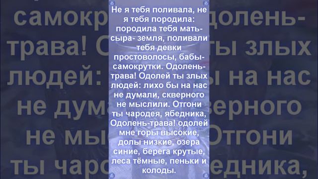 Старинный Наговор на Удачную Дорогу ?✈?? Читают на Воду ? Эзотерика-Влад Владов ?