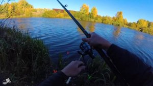 Ловля КАРАСЯ на ДОНКИ в ОКТЯБРЕ. Рыбалка ПОЗДНЕЙ ОСЕНЬЮ