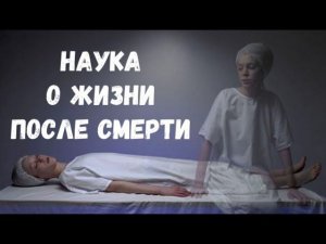 Что говорит наука о жизни после смерти?
