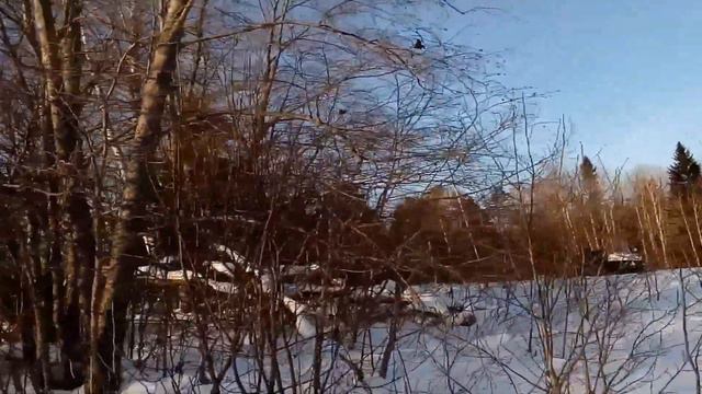 Мой спсоб охоты на тетеревов с чучелами. Способ установки чучел. смотреть онлайн