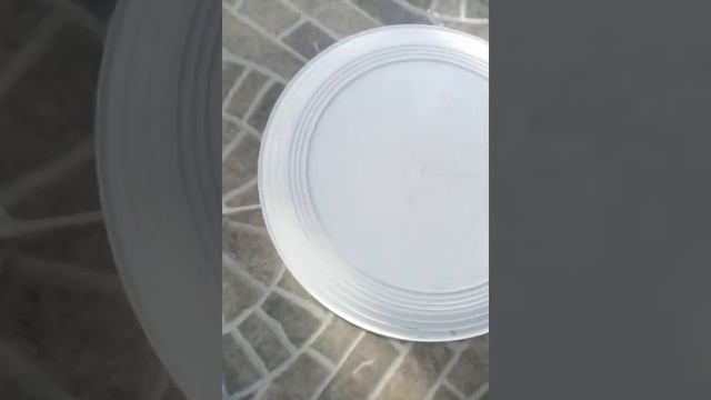 Las pendejadas de joel Amauri y renaya смотреть онлайн