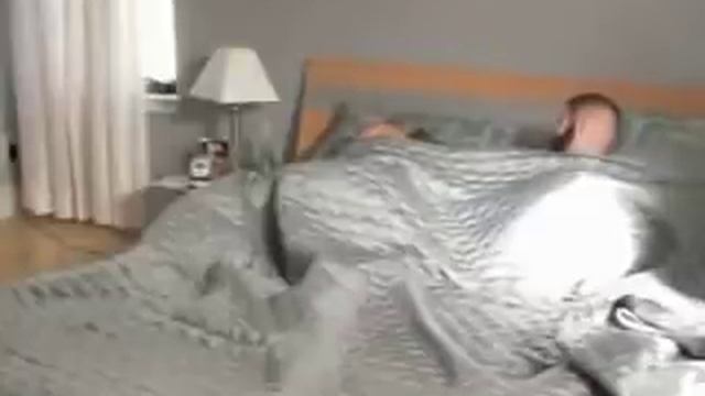 разбудить любимого человека смотреть онлайн