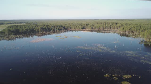 Раннее утро на Водоёме (Орбита) в мае 2024 года