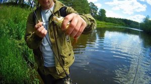 Рыбалка в реке Исеть летом на уловистые воблеры кренки и вертушки. Много щуки и язя на ульталайт