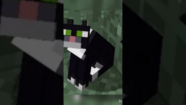 #рек#реки#рекомендации#memes#minecraft#майнкрафт#мемы#мем#интересныефакты#кот#shorts#кошка смотреть онлайн