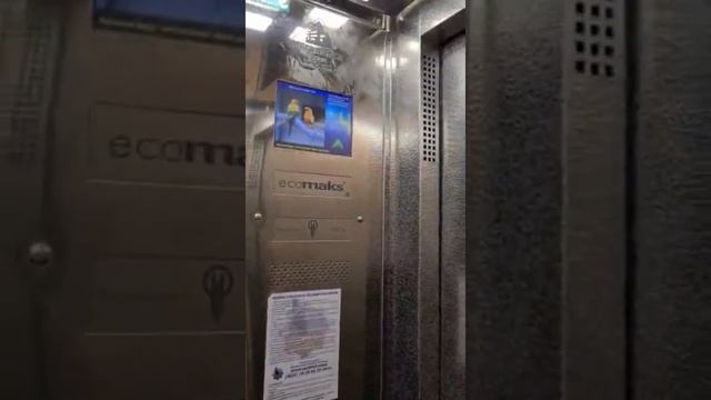 Входная группа в сданном доме в Мегаполис Парке #квартирыотзастройщика #квартирыбрянск