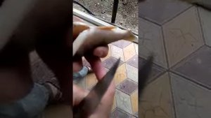 Паразиты в рыбе