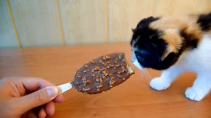 10 ЛАЙФХАКОВ КОТОРЫЕ УПРОСТЯТ ВАШУ ЖИЗНЬ!   ЭТО НЕ ПЛАГИАТ СЛИВКИ ШОУ   SlivkiShow