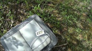 Подсадка маточников в нуклеусы