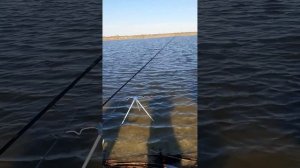 Весенняя рыбалка в Калмыкии. Лагань. Магойский банк