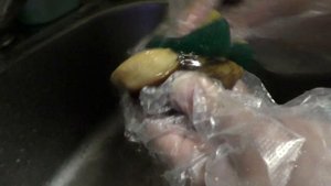 У меня ШОК! Улитки в червях.