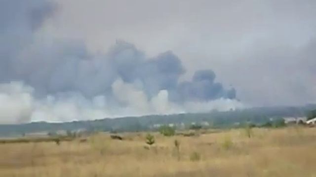 Горит национальный заповедник Бузулукский Бор. Лесной пожар смотреть онлайн
