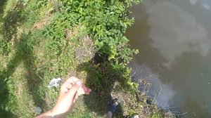 РЫБАЛКА ЛЕТОМ НА ЗИМНЮЮ УДОЧКУ НА СОБСТВЕННОМ ПРУДУ