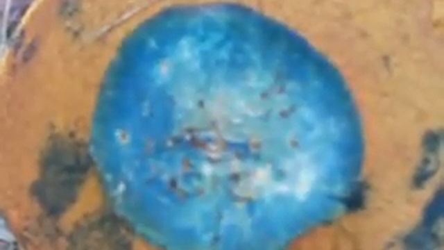 Гриб сатаны смотреть онлайн