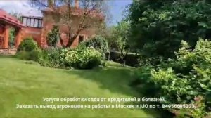 Обработка сада от вредителей и болезней. Заказать выезд агронома по т. 84956695223