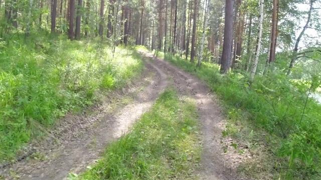Разгрузочный день
