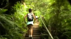 Kokoda Trail Memorial- 1000 Steps Dandenong Ranges Melbourne Australia