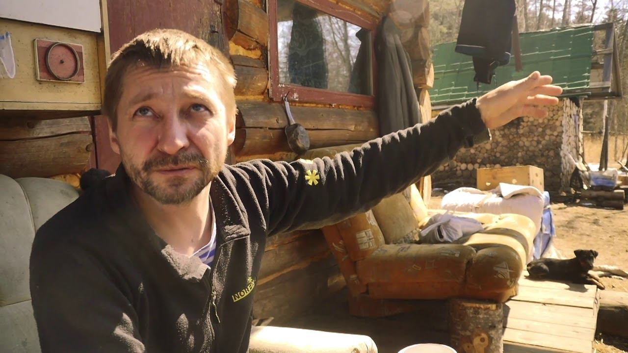 О НАШИХ ТАЕЖНЫХ СОБАКАХ. смотреть онлайн