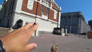Один День в Новосибирске. Мы Выдохлись, Но Путешествие по России Продолжается!