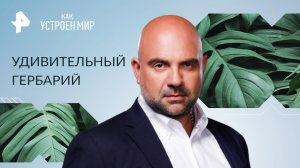 Удивительный гербарий — Как устроен мир с Тимофеем Баженовым (19.01.2023)