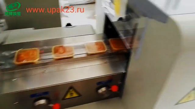 Автоматическая горизонтальная упаковочная машина флоу пак DXDZ-250 с верхней подачей плёнки смотреть онлайн