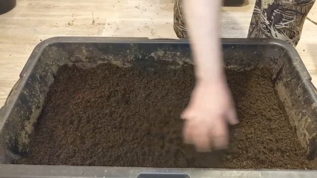 Как приготовить субстрат для червя из конского навоза. Вариант 2 смотреть онлайн