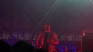 Nizkiz - будь моей звездой (live at Wild Mint Fest / Дикая мята фестиваль, 29.06.2019)