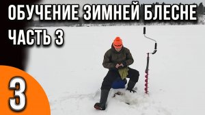 Мастер-класс по ловле на зимнюю блесну для начинающих от Александра Воробьева. Часть 3 поиск рыбы