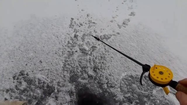 Сегодня ловим на говядину. смотреть онлайн