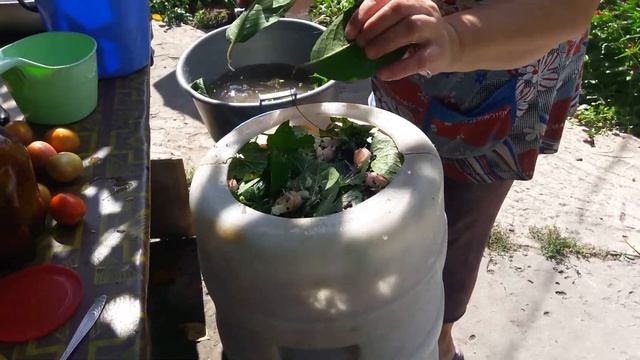 Живём в деревне ! Как мы солим помидоры в бочке квашеные. Какой вкус какой аромат ! смотреть онлайн