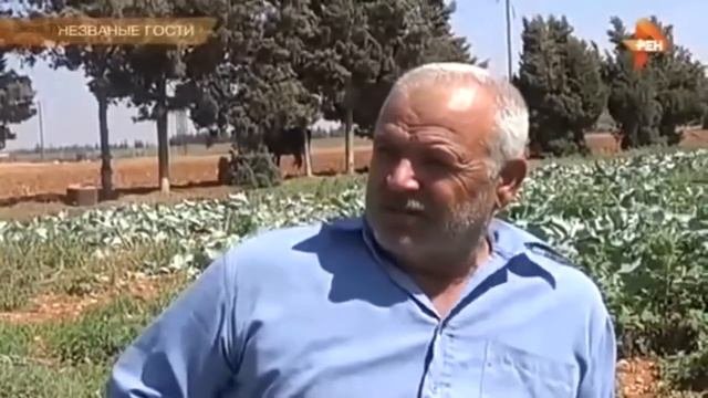 Незваные гости. Политика и геополитика