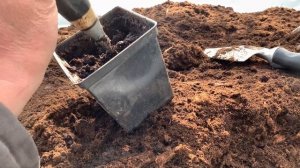 Как измерить Ph торфа грунтовым Ph-метром ? Почему он врёт ?