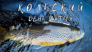 КОЛЬСКИЙ 2022, день 5, или как 20 МИНУТ может изменить ход РЫБАЛКИ.