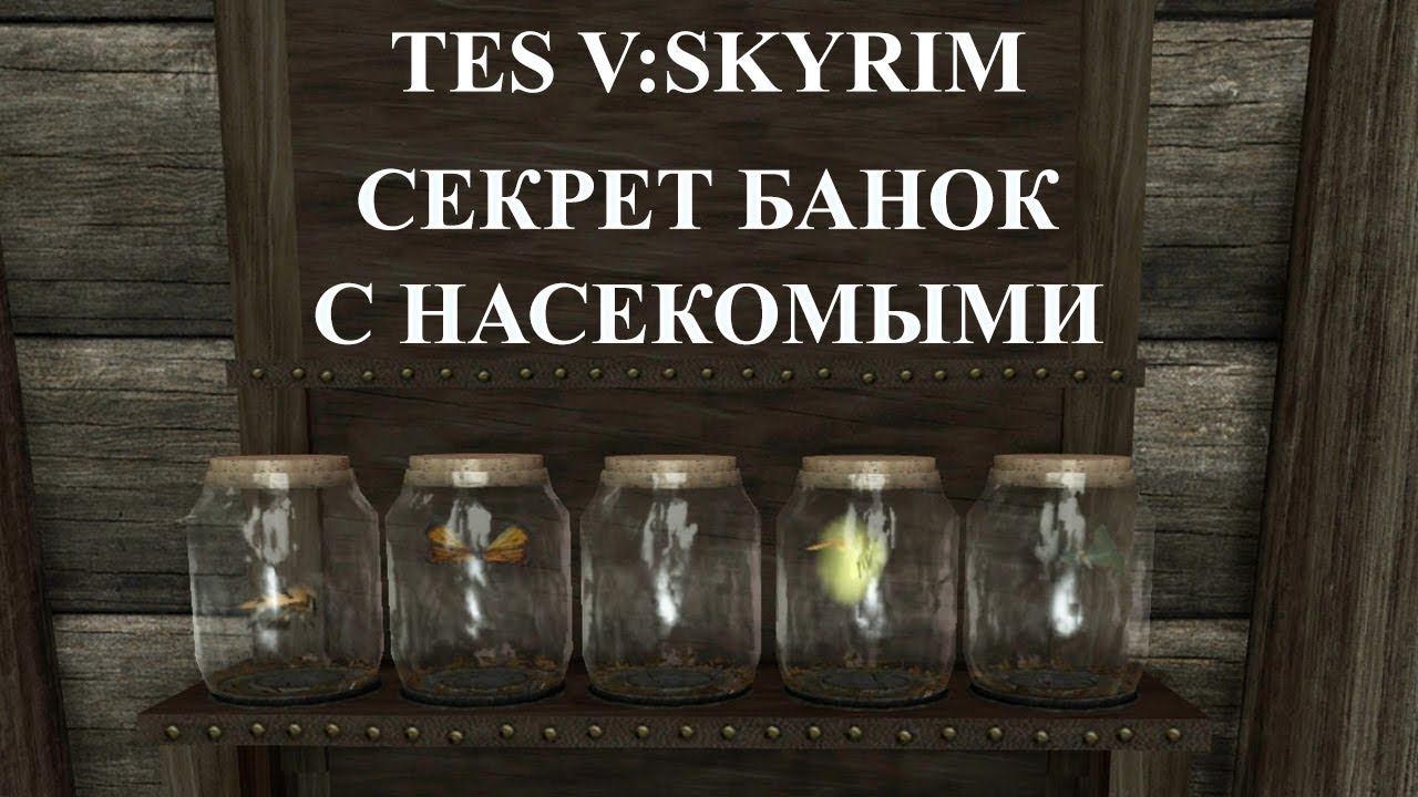 SKYRIM . СЕКРЕТ БАНОК С НАСЕКОМЫМИ. смотреть онлайн