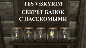 SKYRIM . СЕКРЕТ БАНОК С НАСЕКОМЫМИ.
