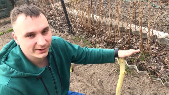 Как сделать плетеный заборчик для клумбы – быстро и бесплатно.