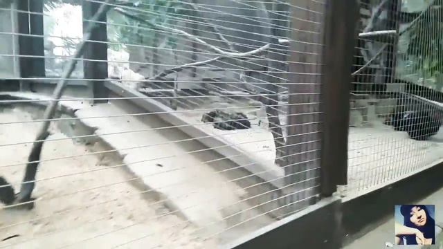 Наше путешествие в парк "Лога" в Каменск-Шахтинском