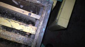 100 %-ная зимовка пчел в омшанике и методы борьбы с ворратозом.