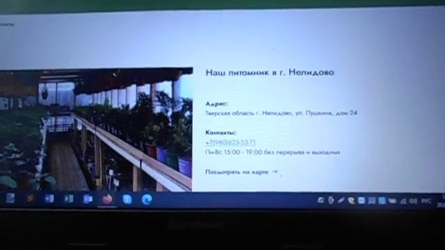 20. 09. 2022г.Обсуждаем новинку гортензии Bonfire от селекционера Guido Rouwette.