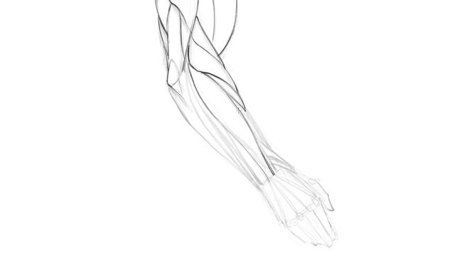 Lesson 06. Drawing the Side View of the Arm Refinement