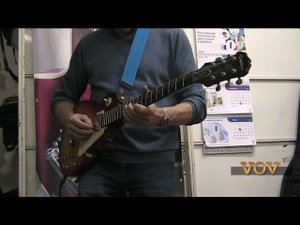 Мой Epiphone LP-100