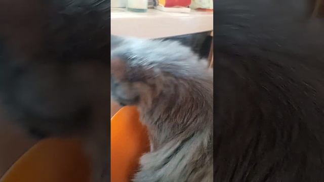 Размерчик подходящий ?