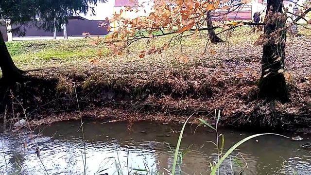 КОЛЕСНИКОВЫ //Обзор новых ВЛОГОВ // Гроза Фуд Блогеров // смотреть онлайн