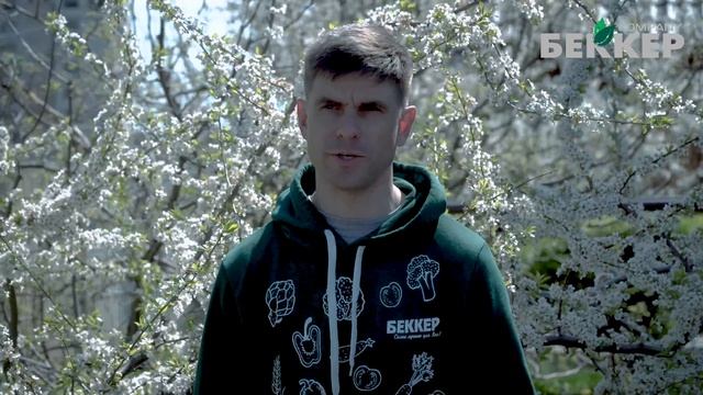 Борьба с заморозками. Как сохранить сад от мороза? Поворотные весенние заморозки