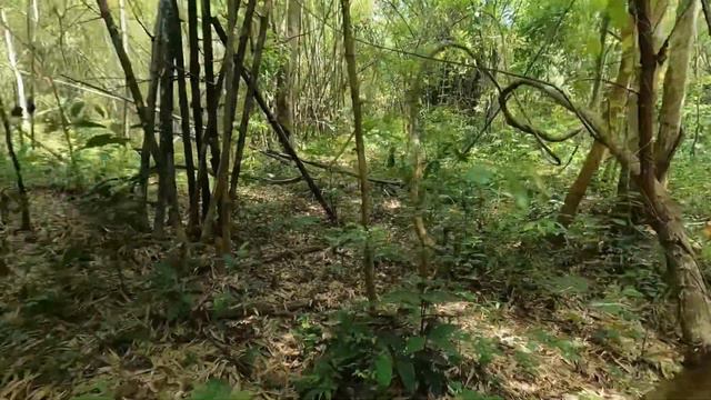 Everywhere has a past จุดพักบ้านร้างผาแดง 6 смотреть онлайн