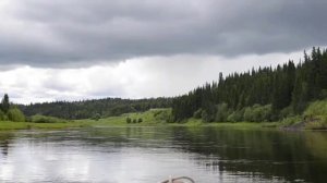 Абрамовская на Пижме