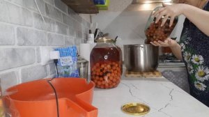 Компот из боярышника и черноплодной рябины