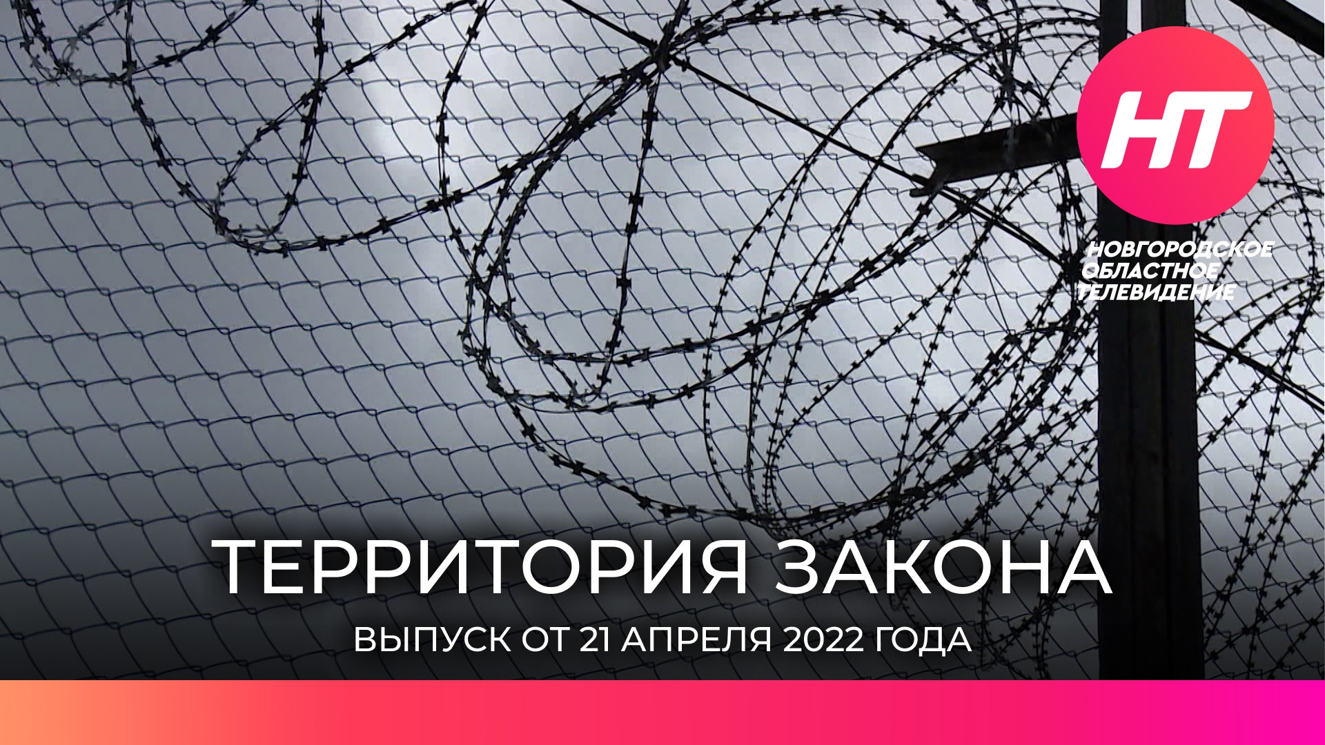 Новгородский закон. Сеть телевизионных СМИ. Новгородское областное Телевидение прямой эфир. Новгородское областное Телевидение Телеканал логотип 2021.