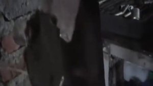 Чери М 11 радиатор охлаждения,кондиционера, шаровая, замена масло