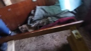 ⛺Землянка в лесу.???МОЙ ДОМ ПОД ЗЕМЛЁЙ. Выживание в лесной землянке. Лесные люди